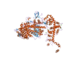 2bki: MYOSIN VI NUCLEOTIDE-FREE (MDINSERT2-IQ) CRYSTAL STRUCTURE
