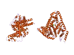 2bxh: HUMAN SERUM ALBUMIN COMPLEXED WITH INDOXYL SULFATE