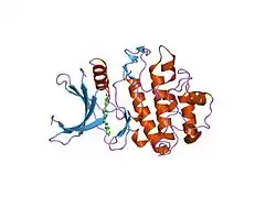 2c3k: IDENTIFICATION OF A BURIED POCKET FOR POTENT AND SELECTIVE INHIBITION OF CHK1: PREDICTION AND VERIFICATION