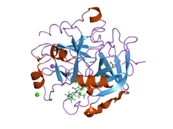2cf8: COMPLEX OF RECOMBINANT HUMAN THROMBIN WITH A INHIBITOR