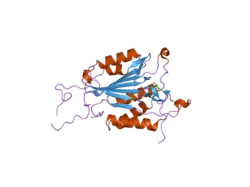 2cjy: EXTENDED SUBSTRATE RECOGNITION IN CASPASE-3 REVEALED BY HIGH RESOLUTION X-RAY STRUCTURE ANALYSIS