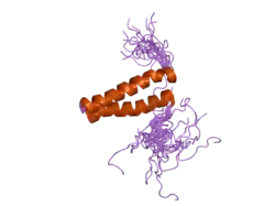 2djv: Solution structures of the WHEP-TRS domain of human methionyl-tRNA synthetase