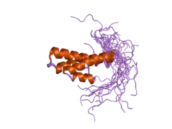 2dky: Solution structure of the SAM-domain of Rho-GTPase-activating protein 7