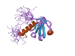 2dlw: Solution structure of the IRS domain of human docking protein 2, isoform a