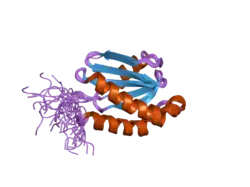 2dmw: Solution structure of the LONGIN domain of Synaptobrevin-like protein 1