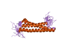 2dnx: Solution structure of RSGI RUH-063, an N-terminal domain of Syntaxin 12 from human cDNA