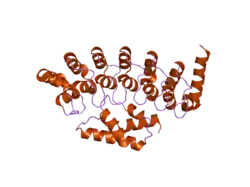 2dvw: Structure of the Oncoprotein Gankyrin in Complex with S6 ATPase of the 26S Proteasome