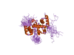 2e30: Solution structure of the cytoplasmic region of Na+/H+ exchanger 1 complexed with essential cofactor calcineurin B homologous protein 1