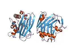 2es3: Crystal Structure of Thrombospondin-1 N-terminal Domain in P1 Form at 1.85A Resolution
