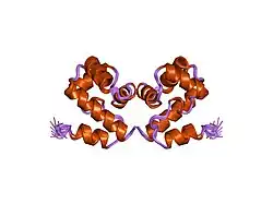 2ezy: SOLUTION STRUCTURE OF HUMAN BARRIER-TO-AUTOINTEGRATION FACTOR BAF, NMR, ENSEMBLE OF 20 SIMULATED ANNEALING STRUCTURES