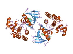 2fb8: Structure of the B-Raf kinase domain bound to SB-590885
