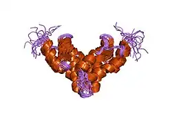 2fi2: Solution structure of the SCAN homodimer from MZF-1/ZNF42