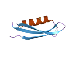 2fk2: Structure of the Alzheimer's Amyloid Precursor Protein (APP) Copper Binding Domain in 'small unit cell' form, Cu(I)-bound