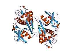 2fq9: Cathepsin S with nitrile inhibitor