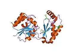 2fuc: Human alpha-Phosphomannomutase 1 with Mg2+ cofactor bound