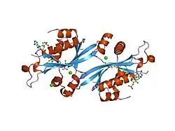 2fxf: Human spermidine/spermine N1-acetyltransferase