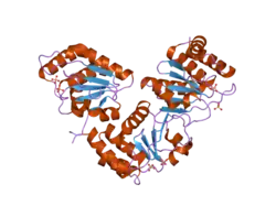 2g6z: Crystal structure of human DUSP5