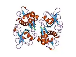 2g7y: Human Cathepsin S with inhibitor CRA-16981