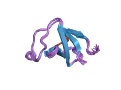 2ggr: Solution structure of the C-terminal SH3 domain of c-CrkII