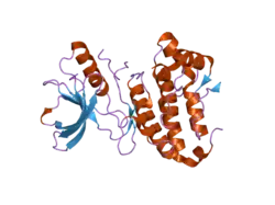 2gsf: The Human Epha3 Receptor Tyrosine Kinase and Juxtamembrane Region