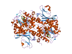 2gvj: Crystal Structure of Human NMPRTase in complex with FK866