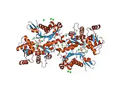 2hmp: Uncomplexed actin cleaved with protease ECP32