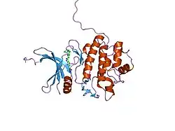 2hog: crystal structure of Chek1 in complex with inhibitor 20