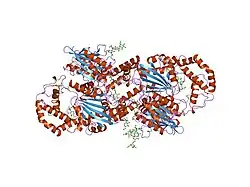2hpa: STRUCTURAL ORIGINS OF L(+)-TARTRATE INHIBITION OF HUMAN PROSTATIC ACID PHOSPHATASE