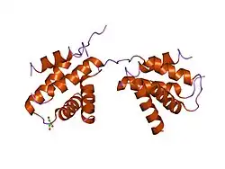 2hwn: Crystal Structure of RII alpha Dimerization/Docking domain of PKA bound to the D-AKAP2 peptide