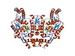 2hx3: Rat nNOS heme domain complexed with (4S)-N-{4-Amino-5-[(2-aminoethyl)-hydroxyamino]-pentyl}-N'-nitroguanidine