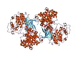 2i40: Cdk2/Cyclin A complexed with a thiophene carboxamide inhibitor