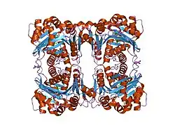 2i6a: Human Adenosine Kinase in Complex With 5'-Deoxy-5-Iodotubercidin