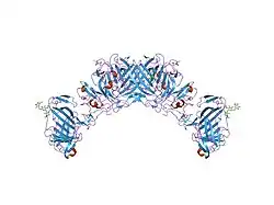 2i9b: Crystal structure of ATF-urokinase receptor complex
