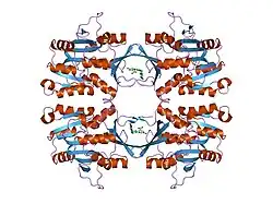 2idk: Crystal Structure of Rat Glycine N-Methyltransferase Complexed With Folate