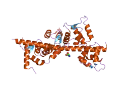 2ix7: STRUCTURE OF APO-CALMODULIN BOUND TO UNCONVENTIONAL MYOSIN V