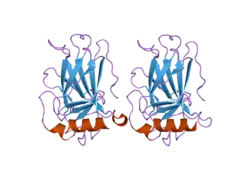 2j21: HUMAN P53 CORE DOMAIN MUTANT M133L-V203A-N239Y-N268D-R282W