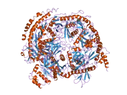 2nn6: Structure of the human RNA exosome composed of Rrp41, Rrp45, Rrp46, Rrp43, Mtr3, Rrp42, Csl4, Rrp4, and Rrp40