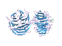 2o9k: WDR5 in Complex with Dimethylated H3K4 Peptide