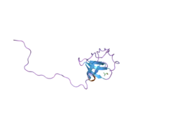 2oi3: NMR Structure Analysis of the Hematopoetic Cell Kinase SH3 Domain complexed with an artificial high affinity ligand (PD1)