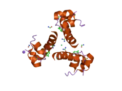 2omg: Structure of human insulin cocrystallized with protamine and urea