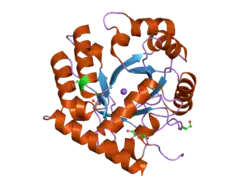 2p1f: Human UMP Synthase (C-terminal Domain-Orotidine 5'-Monophosphate Decarboxylase)