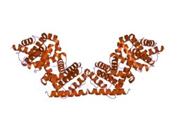 2p1l: Structure of the Bcl-XL:Beclin 1 complex
