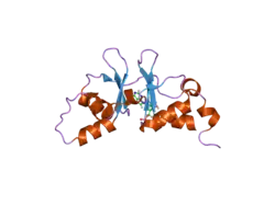 2uv6: CRYSTAL STRUCTURE OF A CBS DOMAIN PAIR FROM THE REGULATORY GAMMA1 SUBUNIT OF HUMAN AMPK IN COMPLEX WITH AMP