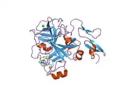 2uwp: FACTOR XA INHIBITOR COMPLEX