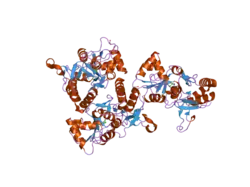 2uxa: CRYSTAL STRUCTURE OF THE GLUR2-FLIP LIGAND BINDING DOMAIN, R/G UNEDITED.