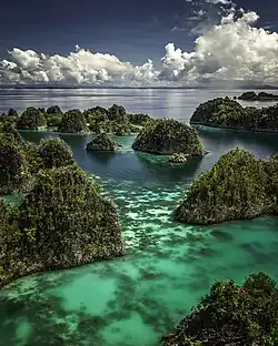 Image 27Piaynemo karst archipelago in Raja Ampat, Southwest Papua (from Tourism in Indonesia)