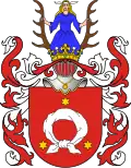 Coat of arms of Tomasz Pirawski, 17th century