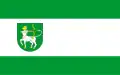 Flag of Lutomiersk