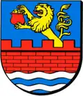 Coat of arms of Gmina Skrwilno