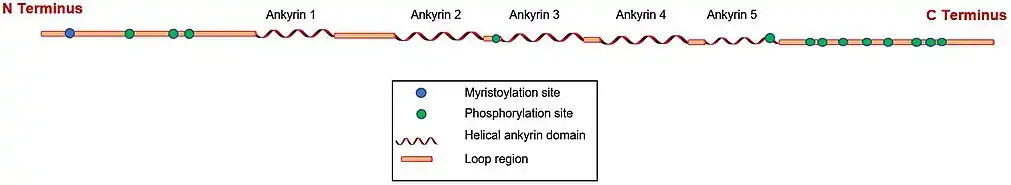 POTEB schematic